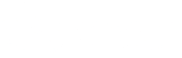 Movilidad Para Abuelos